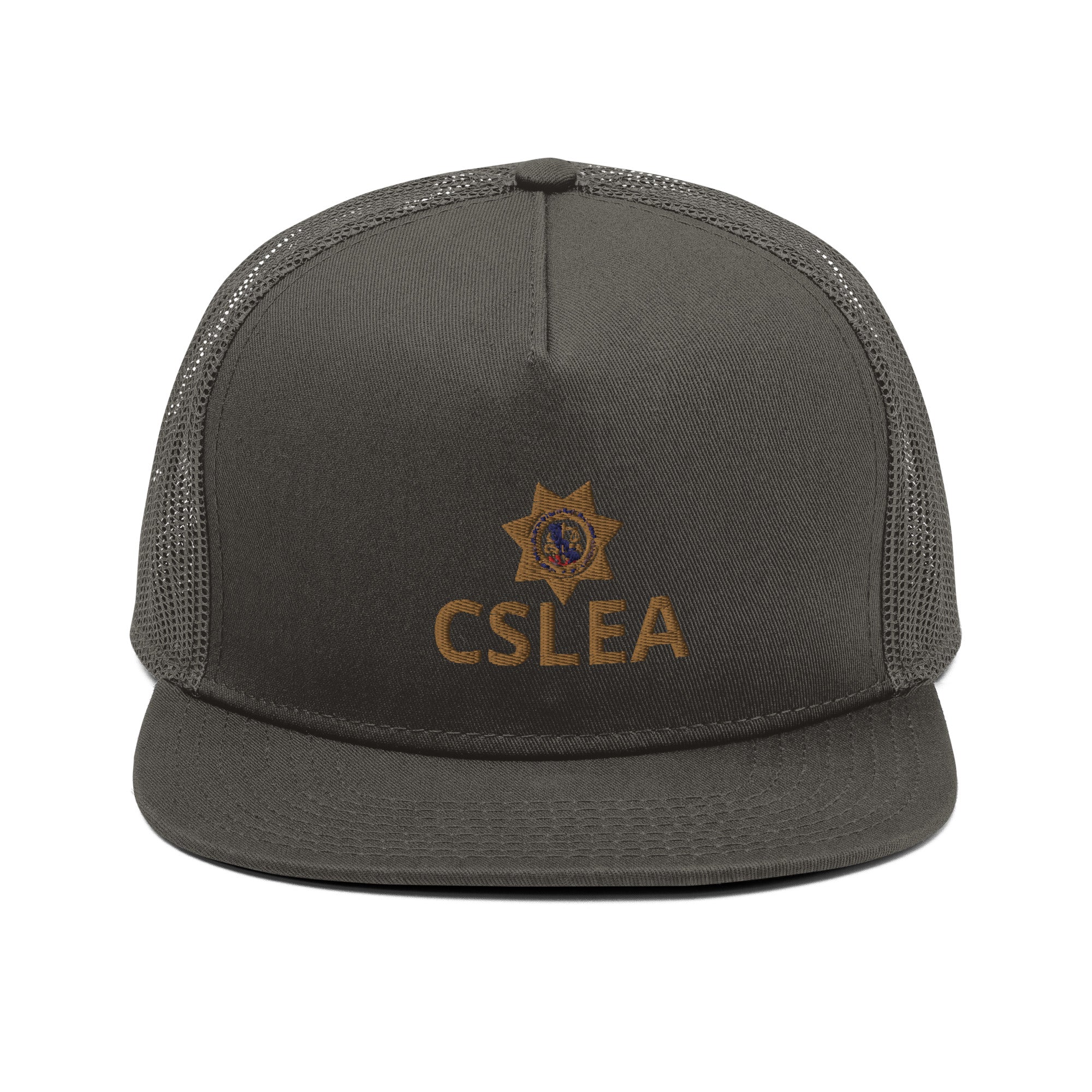 Mesh Back Snapback
