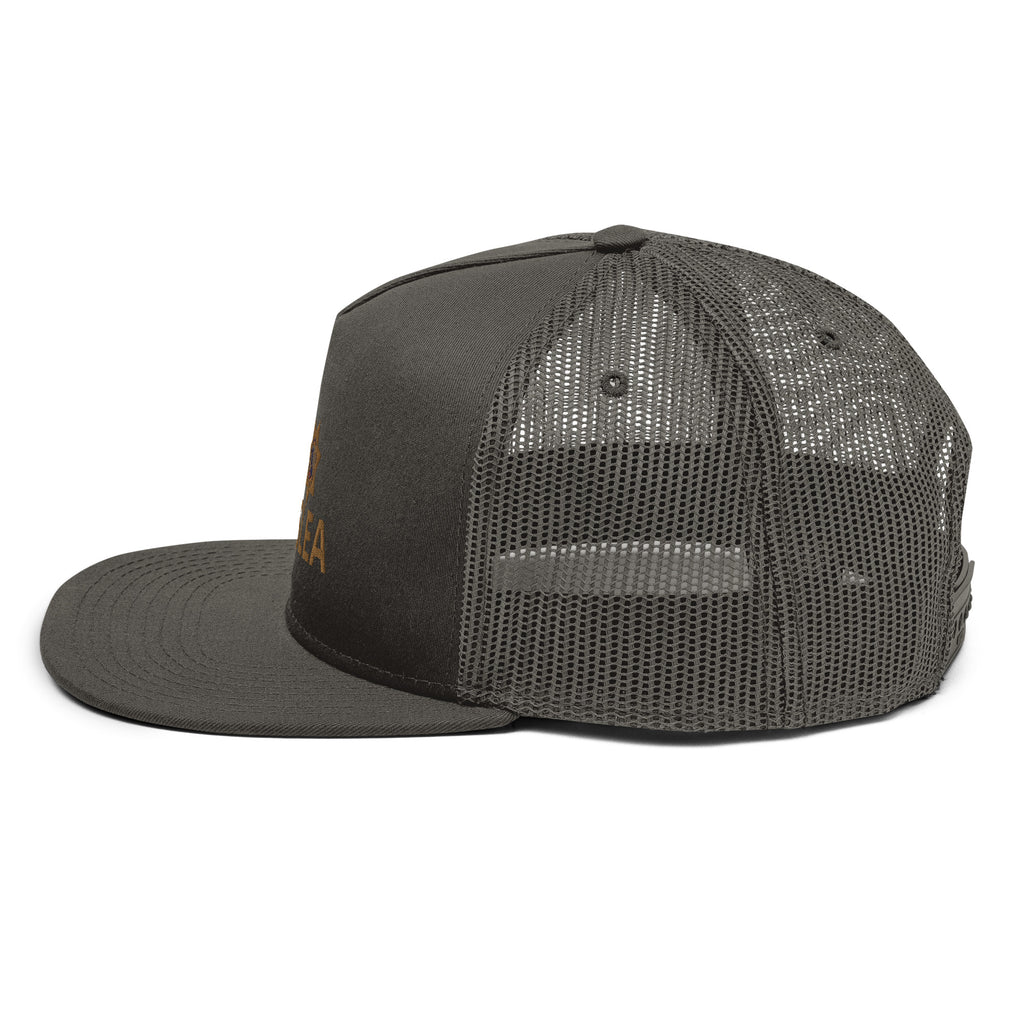 Mesh Back Snapback