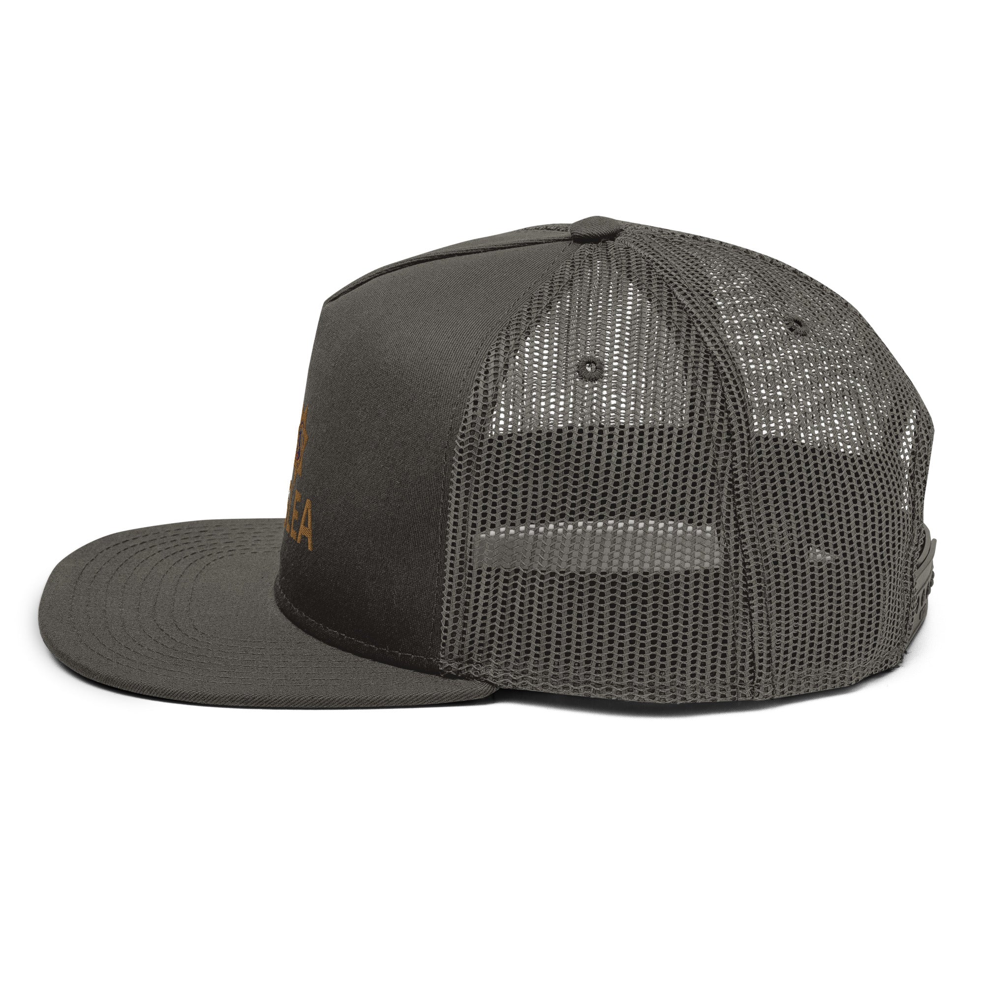 Mesh Back Snapback